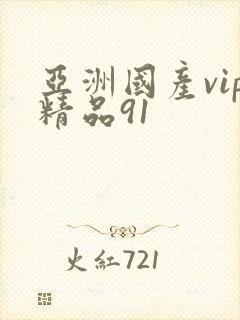 亚洲国产vip精品91