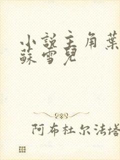 小说主角叶君临苏雪儿