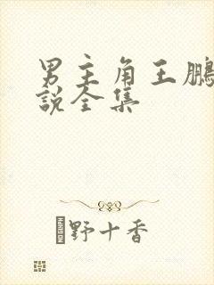 男主角王鹏的小说全集