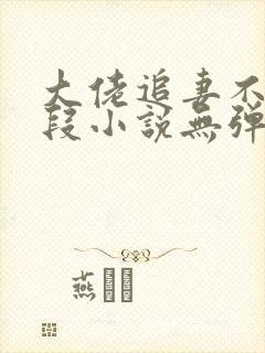 大佬追妻不择手段小说无弹窗