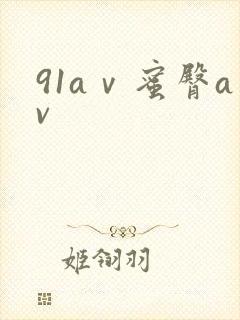 91aⅴ蜜臀av