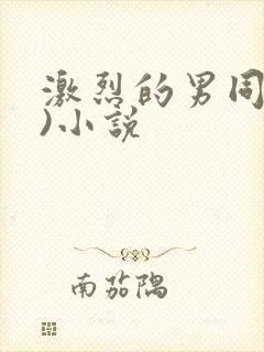 激烈的男同(h)小说