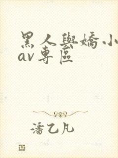 黑人与娇小精品av专区