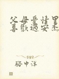 父母爱情里老丁喜欢过安杰吗封面