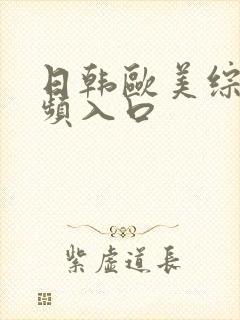 日韩欧美综合视频入口