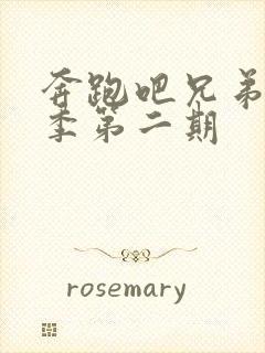 奔跑吧兄弟第八季第二期