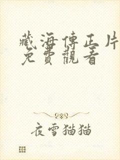 藏海传正片观看免费观看