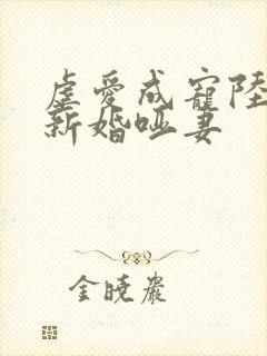 虐爱成宠陆总的新婚哑妻