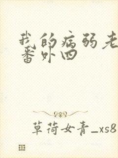 我的病弱老婆 番外四