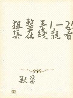 狙击手1—25集在线观看免费播放