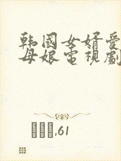 韩国女婿爱上丈母娘电视剧