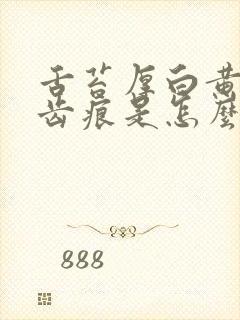 舌苔厚白黄腻有齿痕是怎么回事封面