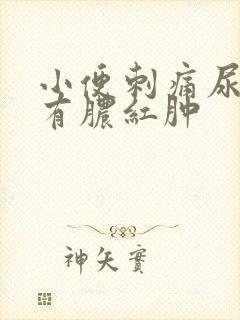 小便刺痛尿道口有脓红肿封面