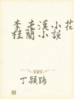 李老汉小花侄媳桂兰小说