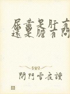 尿黄是肝有问题还是胆有问题