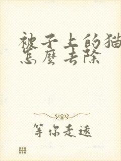 被子上的猫尿味怎么去除封面