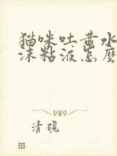 猫咪吐黄水有泡沫粘液怎么办