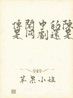 传闻中的陈芊芊是网剧还是电视剧