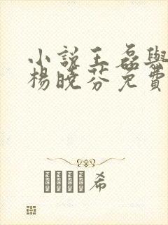 小说王磊与后妈杨晓芬免费阅读封面