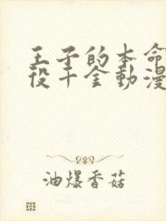 王子的本命是恶役千金动漫视频免费看