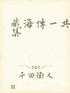 藏海传一共多少集