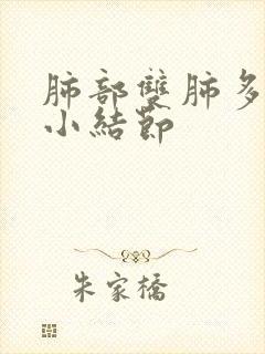 肺部双肺多发微小结节