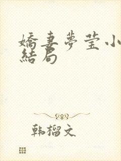 娇妻梦莹小说大结局
