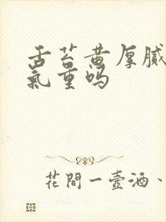 舌苔黄厚腻是湿气重吗