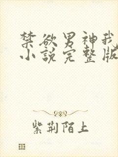 禁欲男神我喜欢小说完整版阅读全文