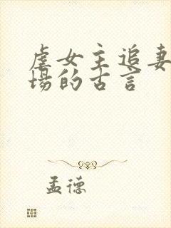 虐女主追妻火葬场的古言封面