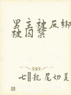 男主被反绑双手被囚禁