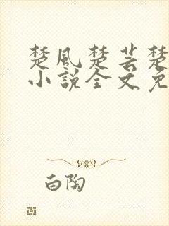 楚风楚芸楚鸿飞小说全文免费阅读