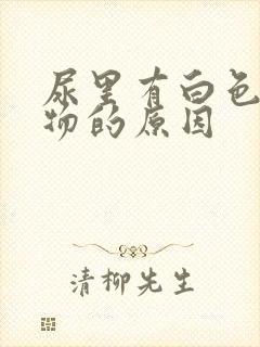 尿里有白色沉淀物的原因