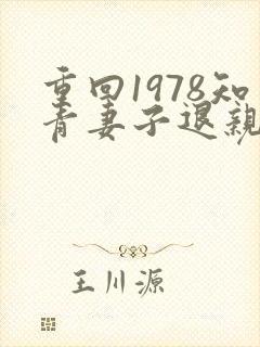 重回1978知青妻子退亲小说叫什么封面