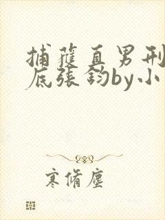 捕获直男刑警卧底张钧by小说