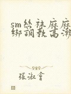 sm丝袜麻麻捆绑调教高潮