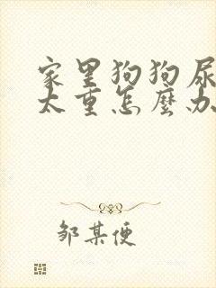 家里狗狗尿骚味太重怎么办