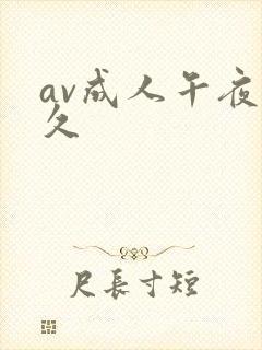 av成人午夜久久封面