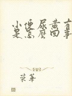 小便尿黄有异味是怎么回事封面