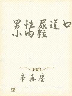 男性尿道口长有小肉粒封面