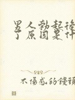 男人勃起后又软了原因是什么