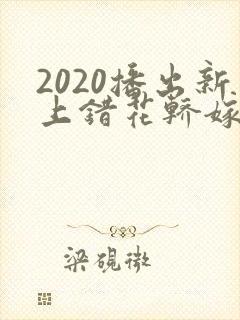 2020播出新上错花轿嫁对郎封面