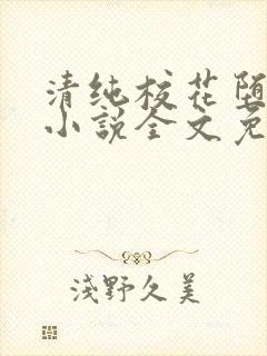 清纯校花堕落记小说全文免费阅读无弹窗