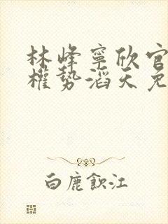 林峰宁欣官道之权势滔天免费阅读