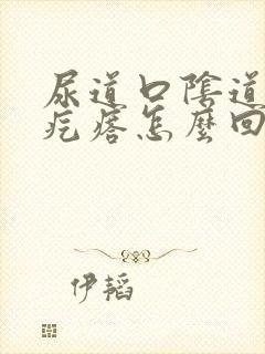 尿道口阴道长小疙瘩怎么回事