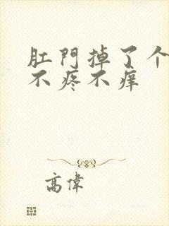 肛门掉了个肉球不疼不痒