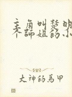 主角叫楚明有七个师姐的小说