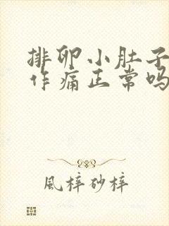 排卵小肚子隐隐作痛正常吗