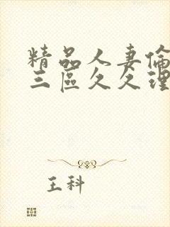 精品人妻伦一二三区久久理论片