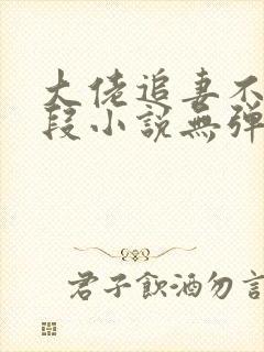 大佬追妻不择手段小说无弹窗最新章节